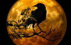 Crow silhouette on branch with moon