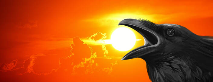 Crow with open beak in front of orange sunset