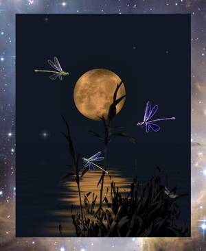 Ethereal dragonflies over moonlit pond